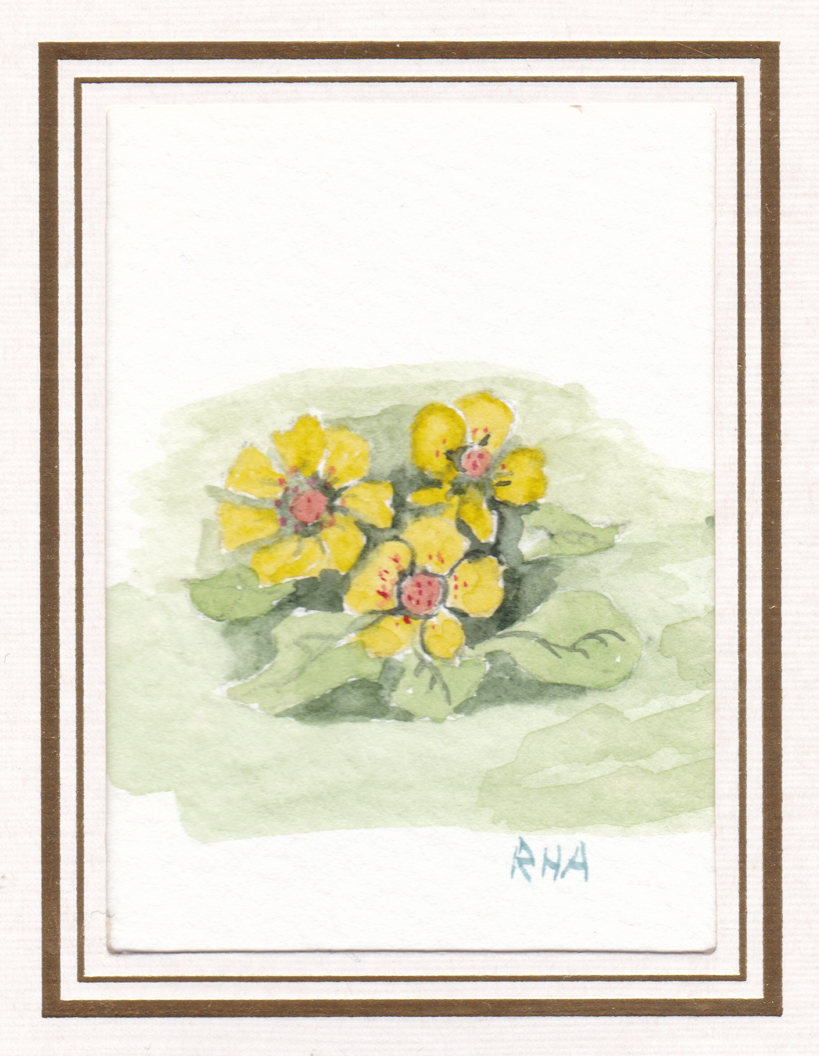 Watercolor birthday card to Jon